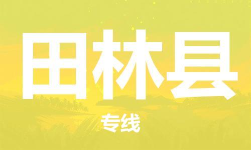 深圳到田林县物流专线-深圳物流到田林县-（全/境-直送）