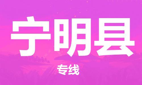 深圳到宁明县物流专线-深圳物流到宁明县-（全/境-直送）